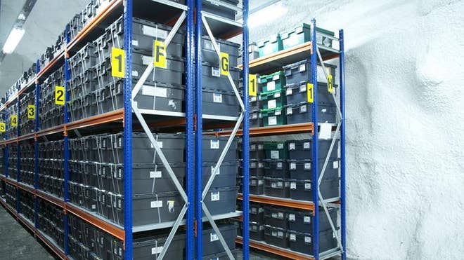 Seeds in Storage